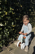 Liefjes & Co Loopfiets / Driewieler vanaf 1 Jaar Mint Groen