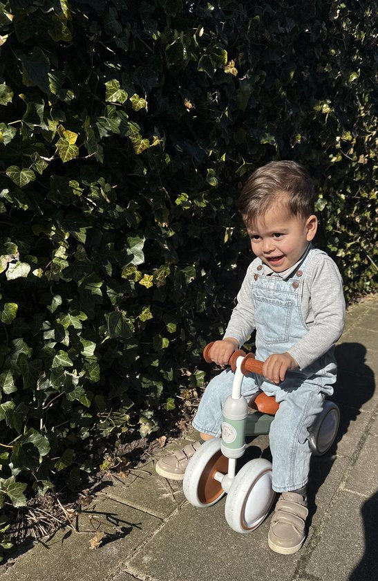 Liefjes & Co Loopfiets / Driewieler vanaf 1 Jaar Mint Groen