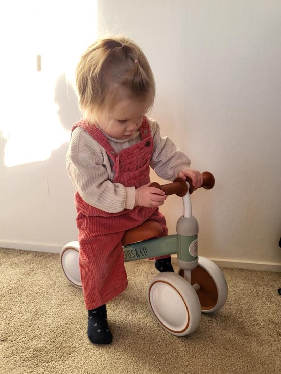 Liefjes & Co Loopfiets / Driewieler vanaf 1 Jaar Mint Groen