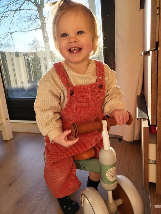 Liefjes & Co Loopfiets / Driewieler vanaf 1 Jaar Mint Groen