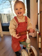 Liefjes & Co Loopfiets / Driewieler vanaf 1 Jaar Mint Groen