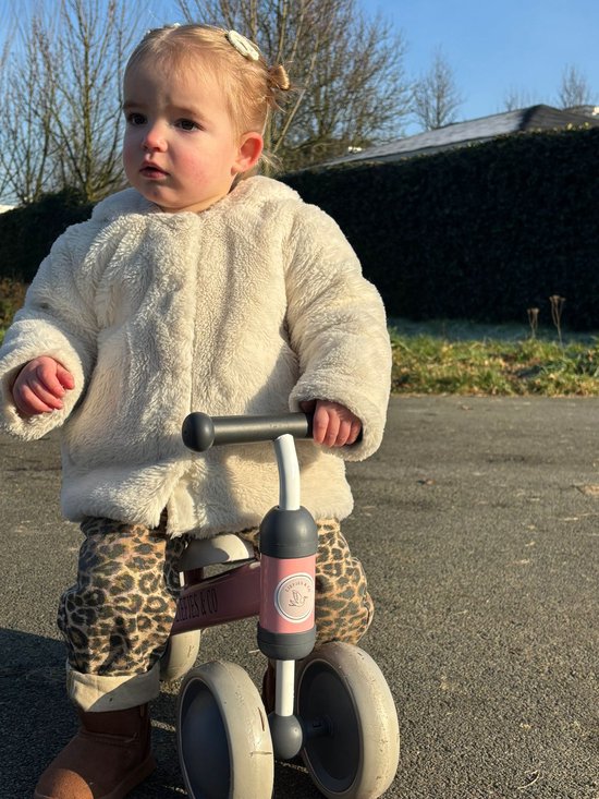 Liefjes & Co Loopfiets / Driewieler vanaf 1 Jaar Roze