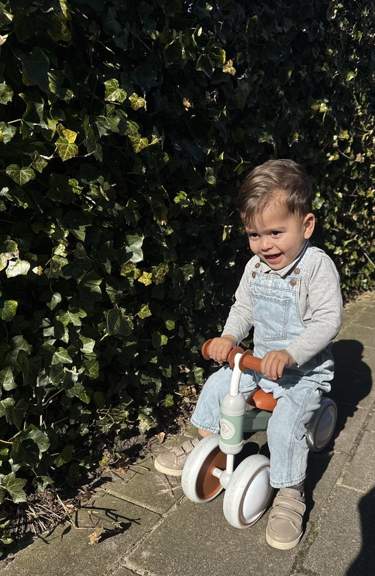 Liefjes & Co Balance Bike / Tricycle from 1 Year Mint Green